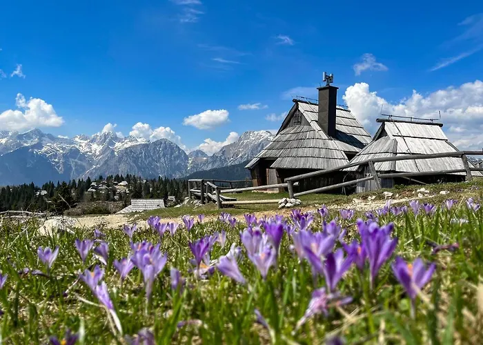 Kocna - I Feel Alps Brvnara